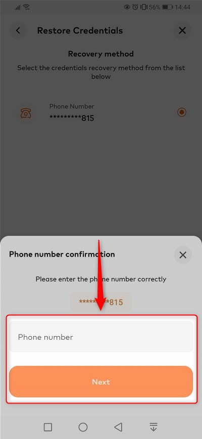 手順４：登録電話番号を入絵良くして「NEXT」をタップ